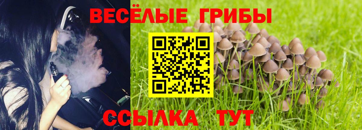 Малоярославец  Псилоцибиновые грибы Cubensis  Псилоцибиновые грибы Psilocybine cubensis  как найти закладки  Вход с VPN 