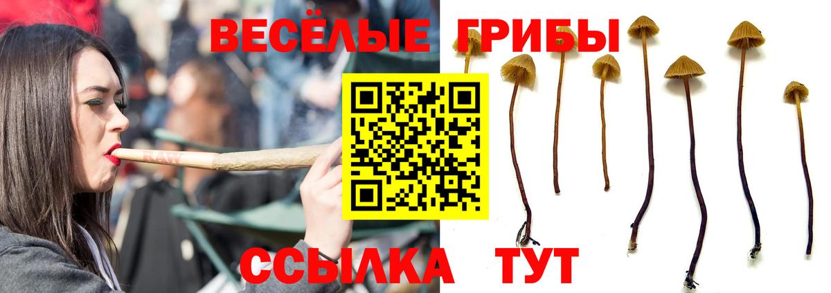 Псилоцибиновые грибы ЛСД Малоярославец